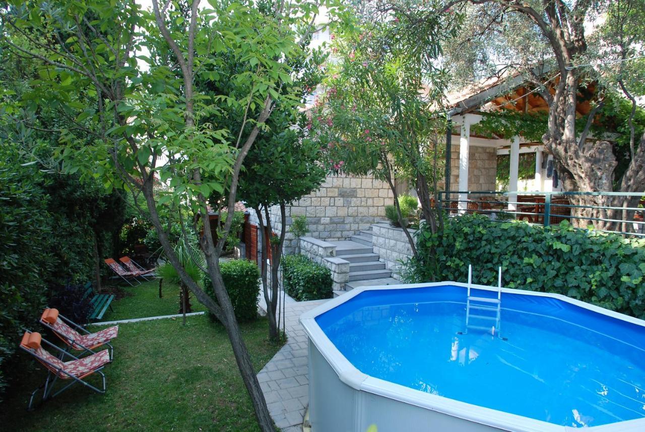 Olive Tree Budva