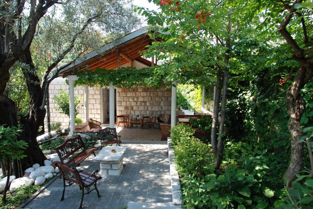 Olive Tree Holiday home Budva