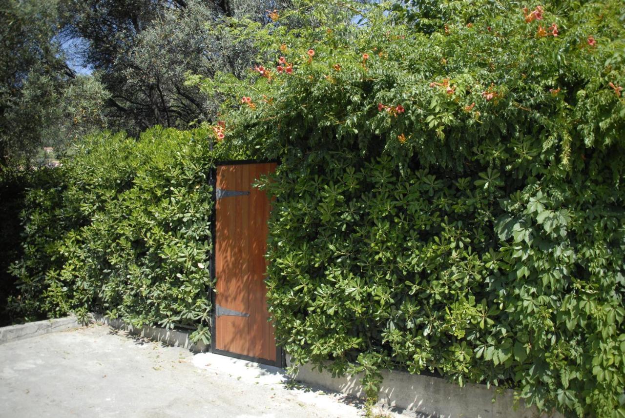 Holiday home Olive Tree *
